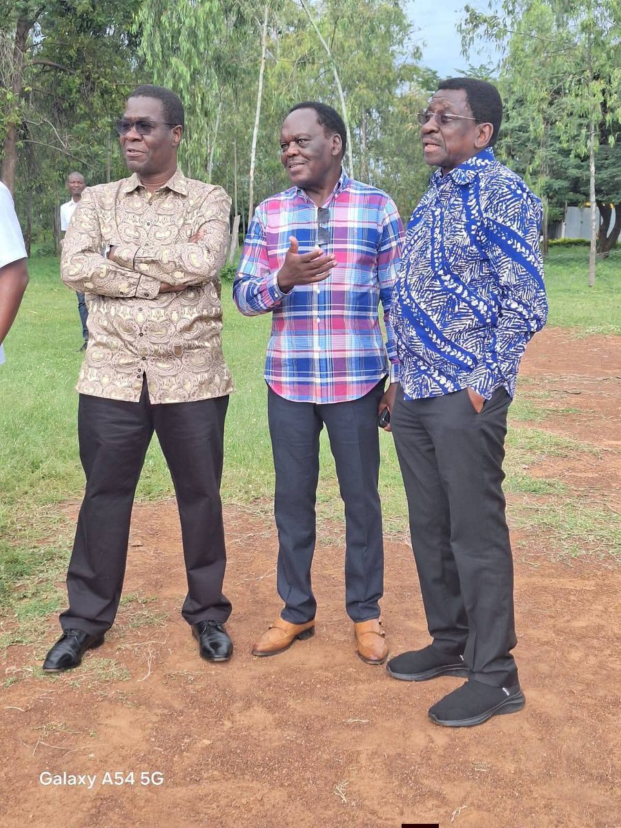 Adel On Politics tweet media