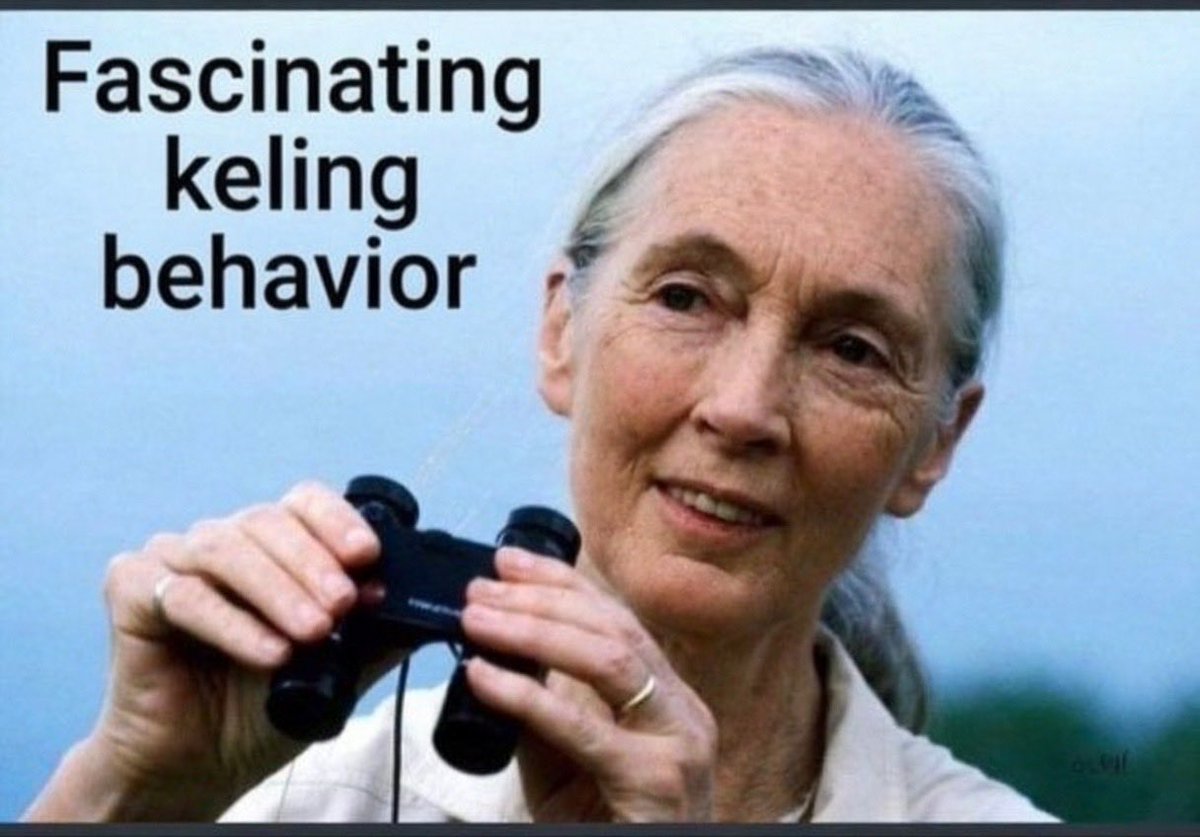 A4کليڠ #RobohKuilHaram tweet media