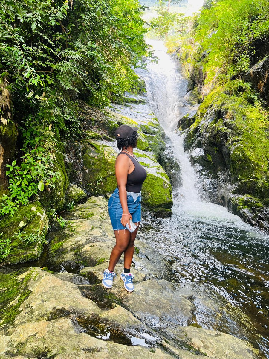 🧩Dziko👑🇧🇧 tweet media