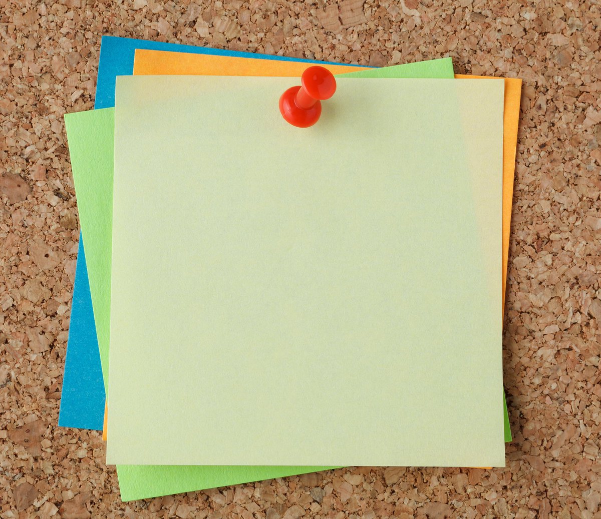 Lisa Nelson tweet media