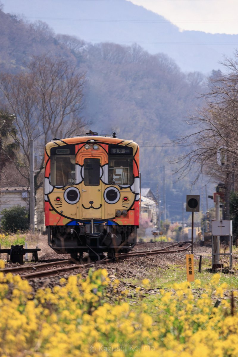 “鉄道専用”SNS 「Railil（レイリル）」公式 tweet media
