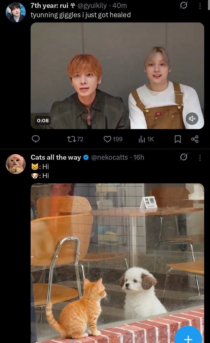 7TH YEAR🪾TERRY🐈‍⬛ tweet media