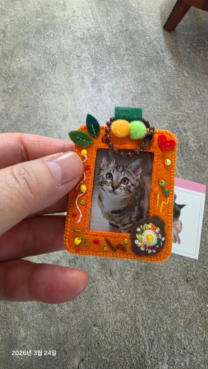 쏠티네나비랑돌비 tweet media