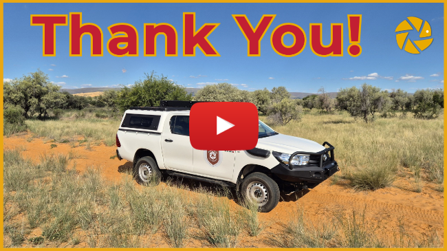 Pangolin Wildlife Photography tweet media