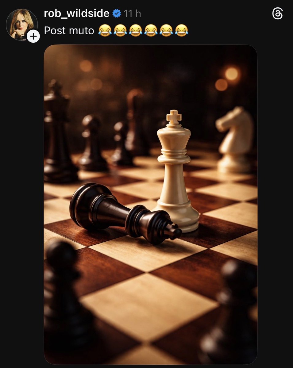 bearbops 🌰88 tweet media