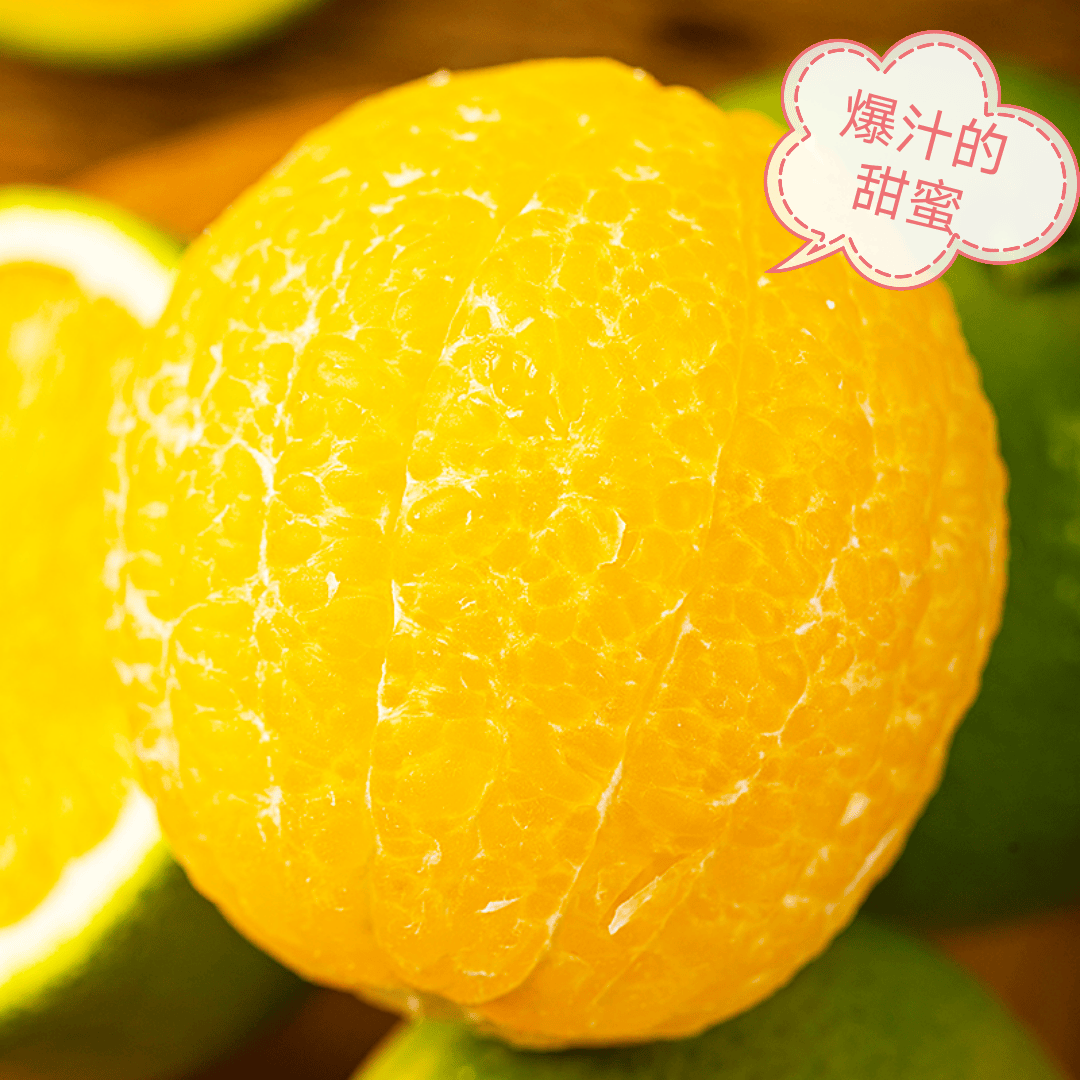 Ralph Vigil Jr. tweet media