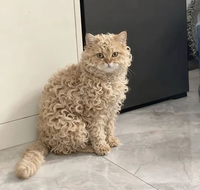 Master Notes ☿ tweet media