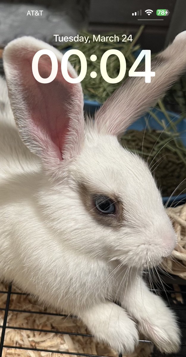 Jedi Joy Journey tweet media