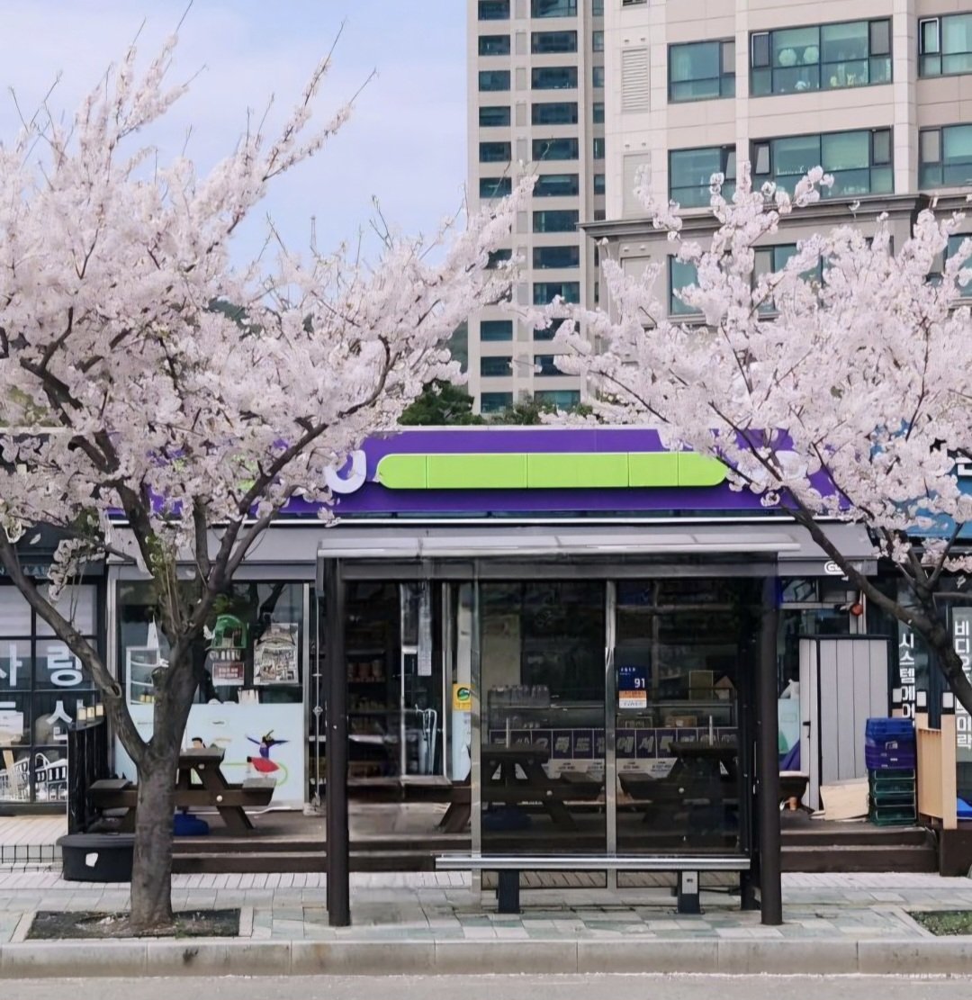 반짝반짝 tweet media