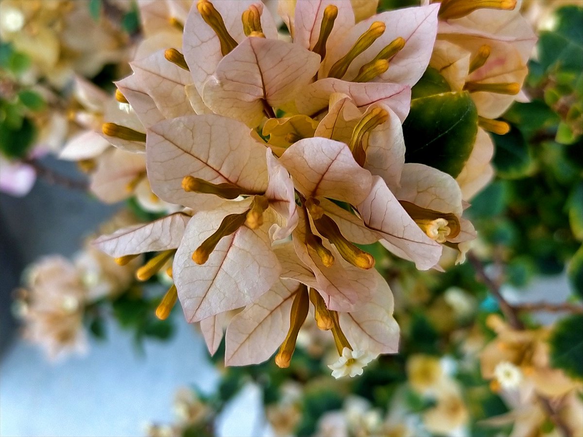 旅先での写真 tweet media