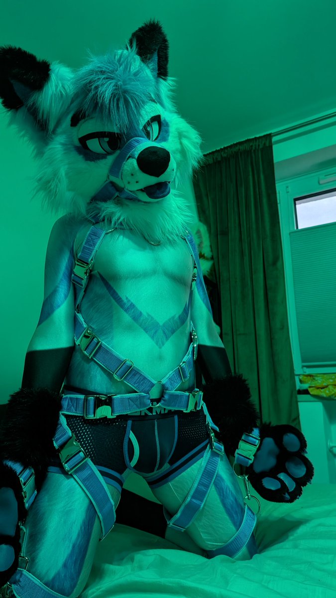 Auri Blueboy tweet media