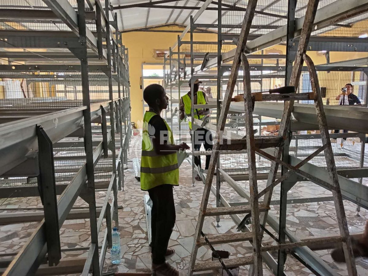 retechfarming's tweet image. 🌍 RETECH Project Update | Senegal 🐔

📲 WhatsApp: +86 185 6181 8850
📧 Email: admin@retechfarming.com
🌐 retechfarming.com

#RETECHFarming #PoultryFarming #chickencage #chickenfarm #Senegal