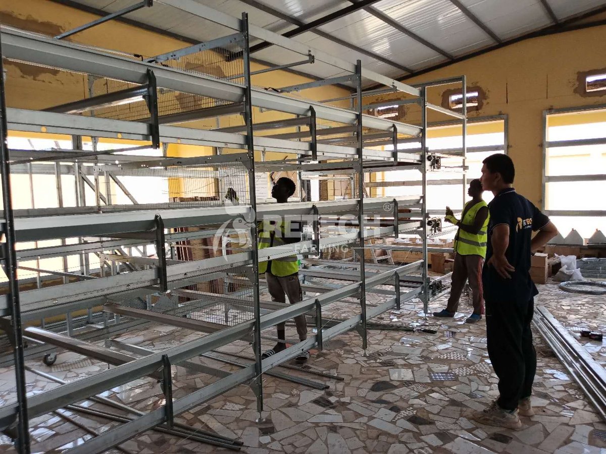 retechfarming's tweet image. 🌍 RETECH Project Update | Senegal 🐔

📲 WhatsApp: +86 185 6181 8850
📧 Email: admin@retechfarming.com
🌐 retechfarming.com

#RETECHFarming #PoultryFarming #chickencage #chickenfarm #Senegal