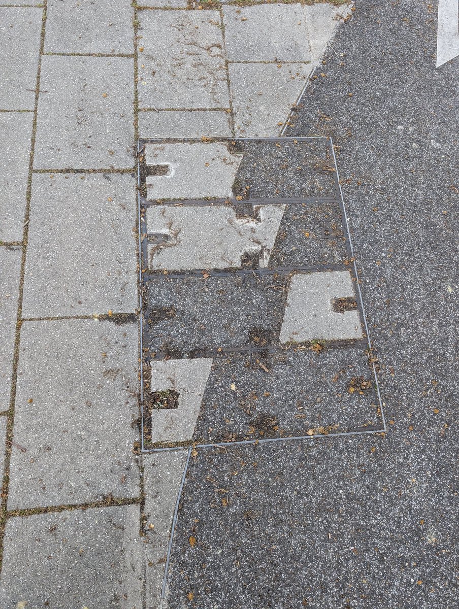 João Pires Ribeiro tweet media