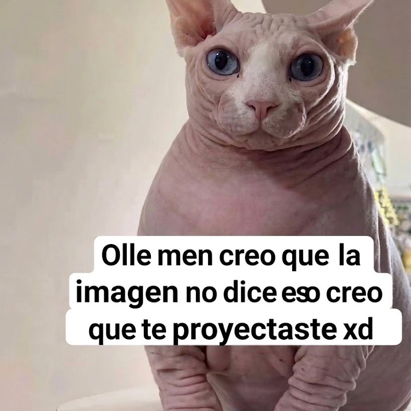 SRCHESS🇨🇴🇧🇷 tweet media