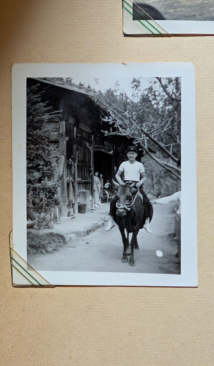 カツヒト tweet media