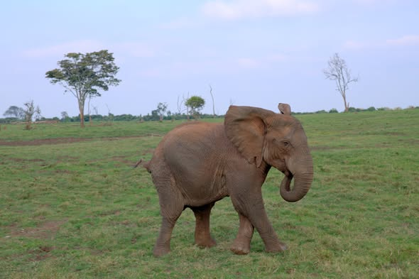 Satima Expeditions And Events tweet media