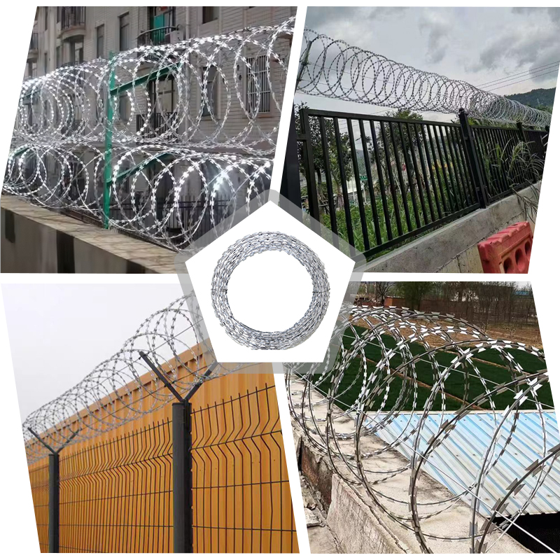 TIANYUZHANG123's tweet image. Pauleen – Precision in Protection, Strength in Steel
For over a decade, we haven’t just been manufacturing razor wire—we’ve been perfecting it. 

WhatsApp: +86 17367718578
Email: kevin@meshwiresuppliers.com
Free-standing station:meshwiresuppliers.com
#RazorWire #SecurityFencing