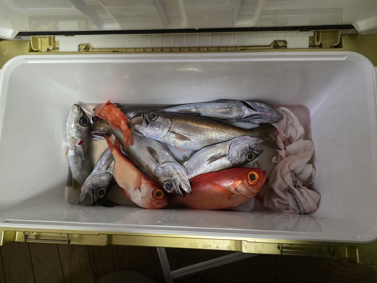 堂山テッシング tweet media