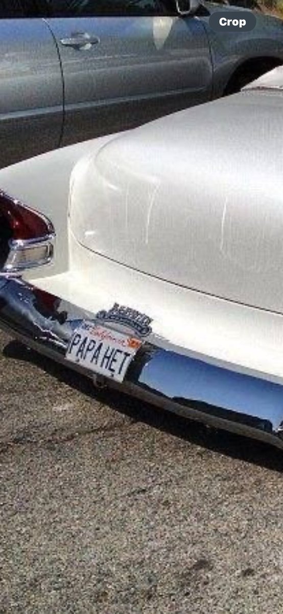 OLIVIA🦇 tweet media