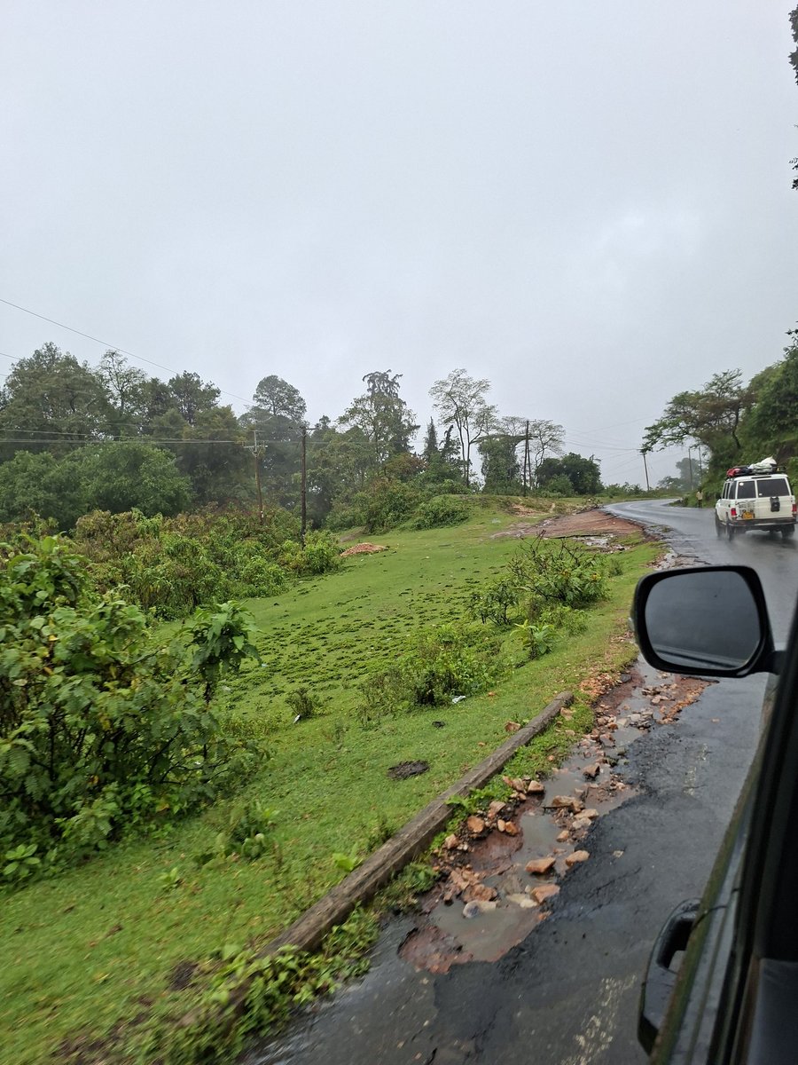 Lydon🇰🇪 tweet media