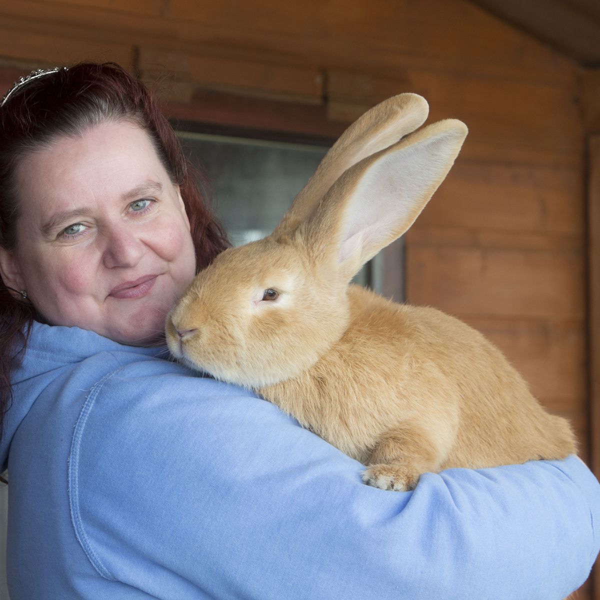 ксюгномка🧚🏻‍♀️🐕🕷️🇩🇪 tweet media