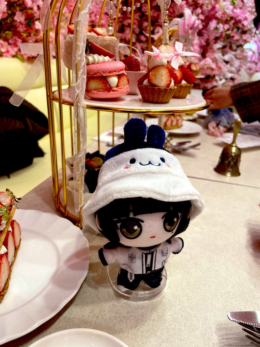 Chippy🐬💙Now I Know tweet media