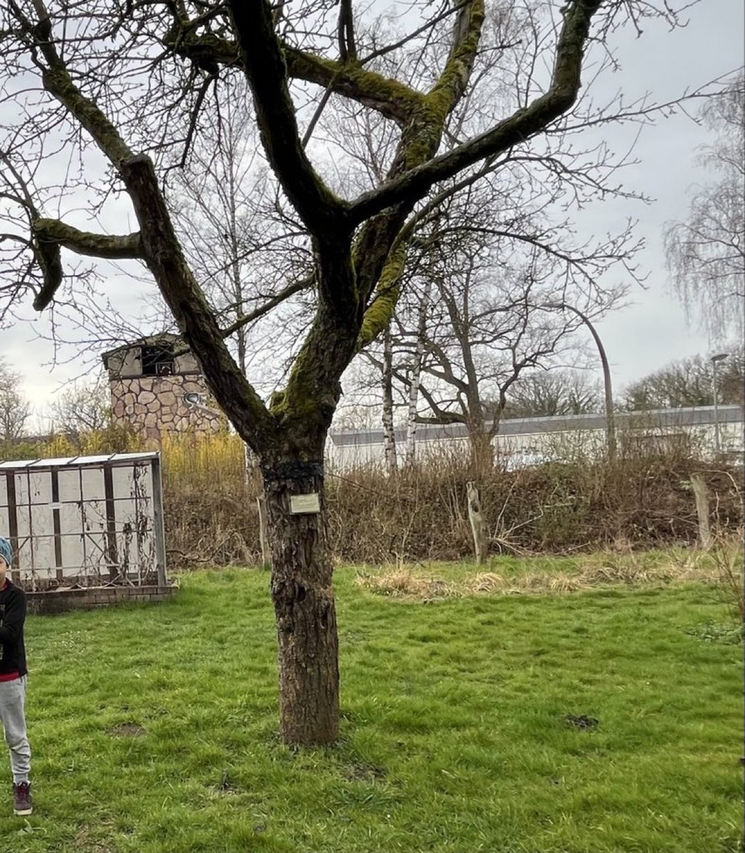 Hicham Loukili | ⵀⵉⵛⴰⵎ ⵍⵡⴽⵉⵍⵉ tweet media