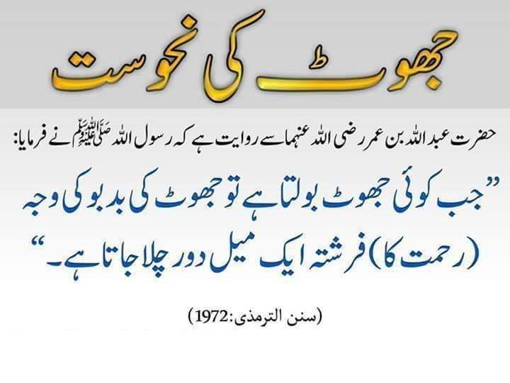 🪴tepu sultan🪴 tweet media