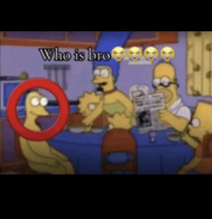 cat lover 123 tweet media