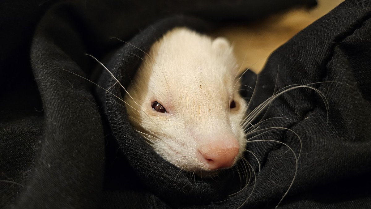 Pirate Software tweet media