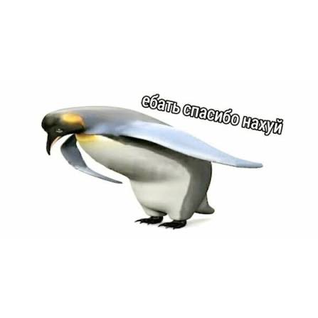 Criogenz tweet media