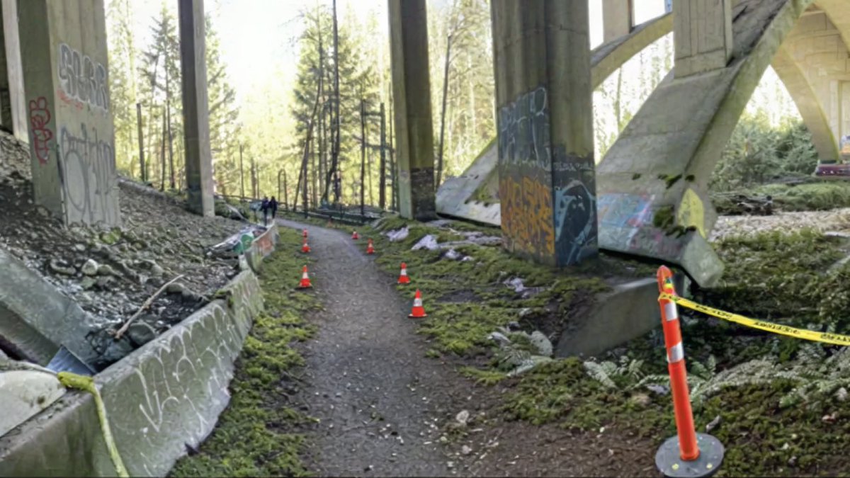 The Last of Us Brasil 🦋 tweet media