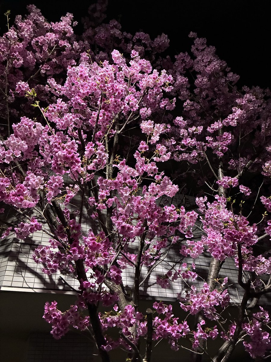 竹谷直人(nao) tweet media