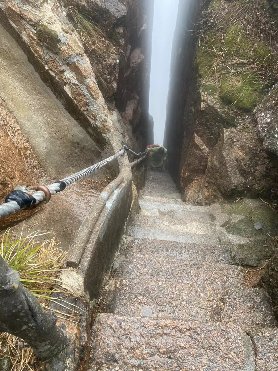 angela carty tweet media