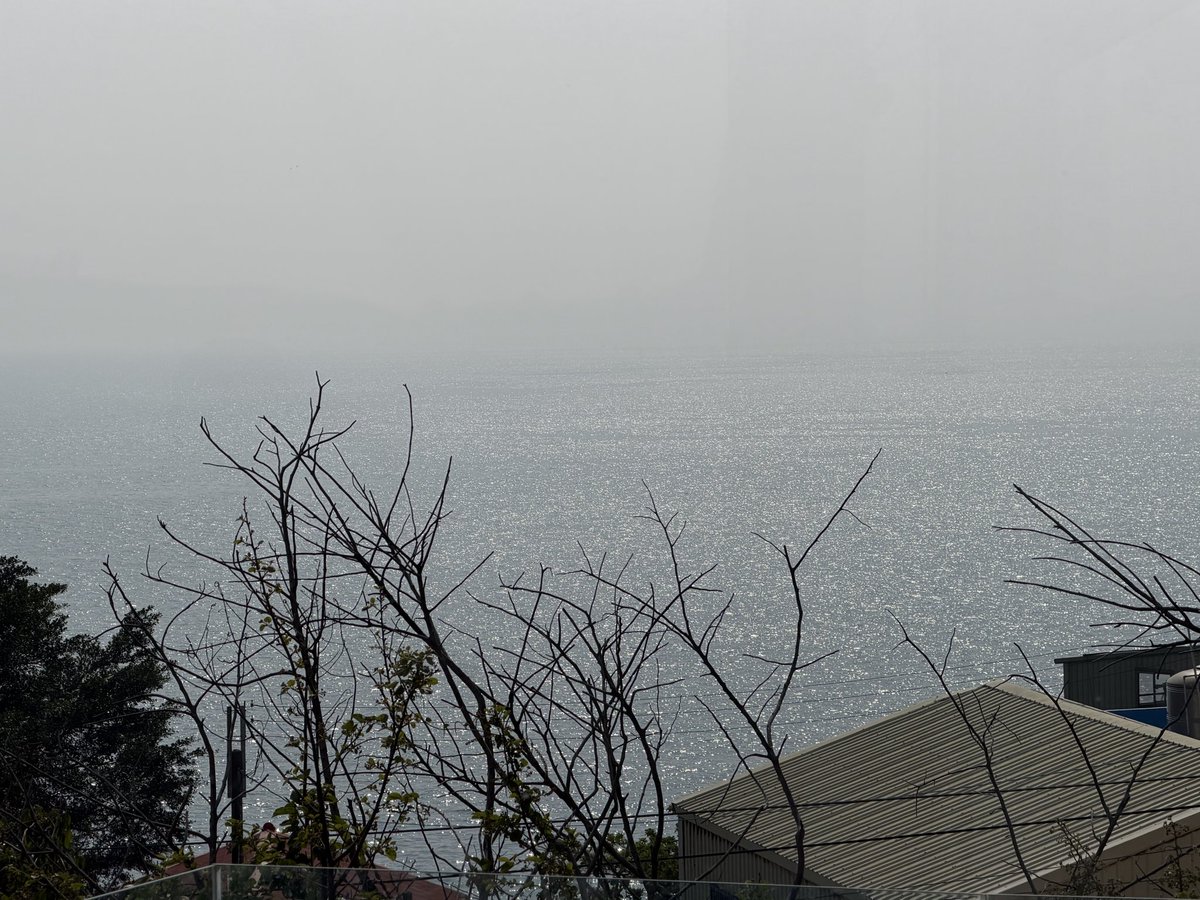 大老王 tweet media