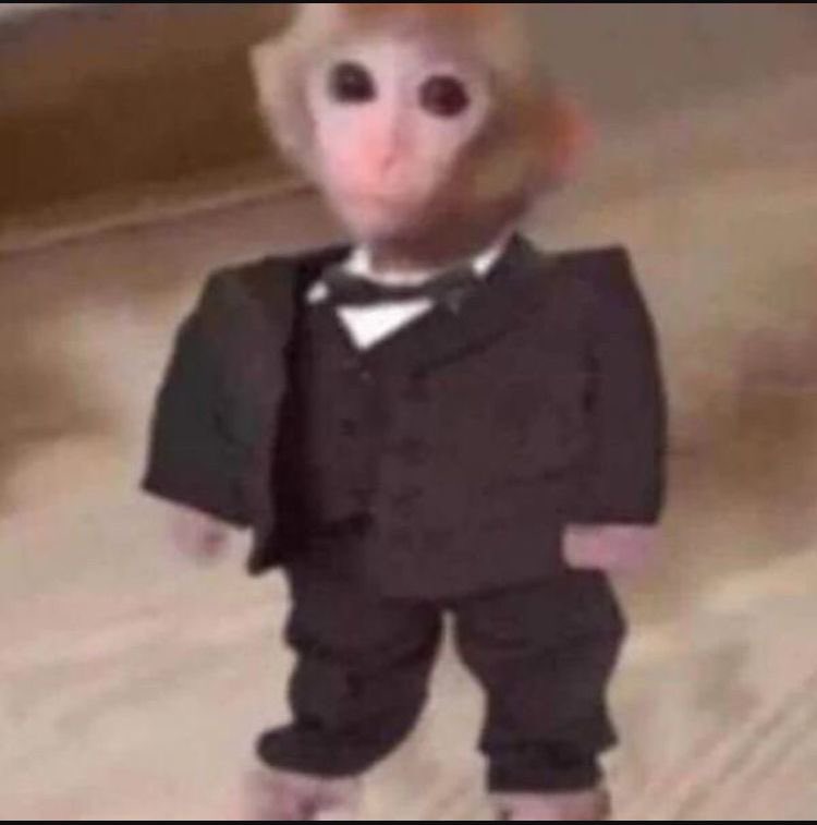 코알랑 tweet media