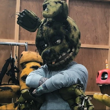 Springfacts tweet media