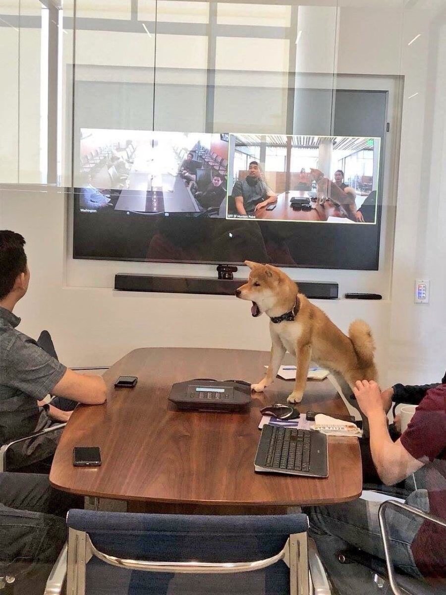 몽맹이 tweet media