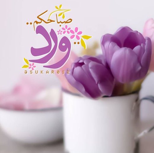 𝓔𝓼𝓼𝓪𝓶 tweet media