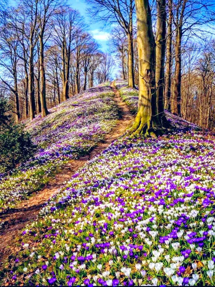 TheFlowerShow's tweet image. Good morning, Tuesday ☀️

New day, new start. Just do your best and keep going.
 Small steps still count.

Have a great day 💛

#tuesdayvibe #goodmorning