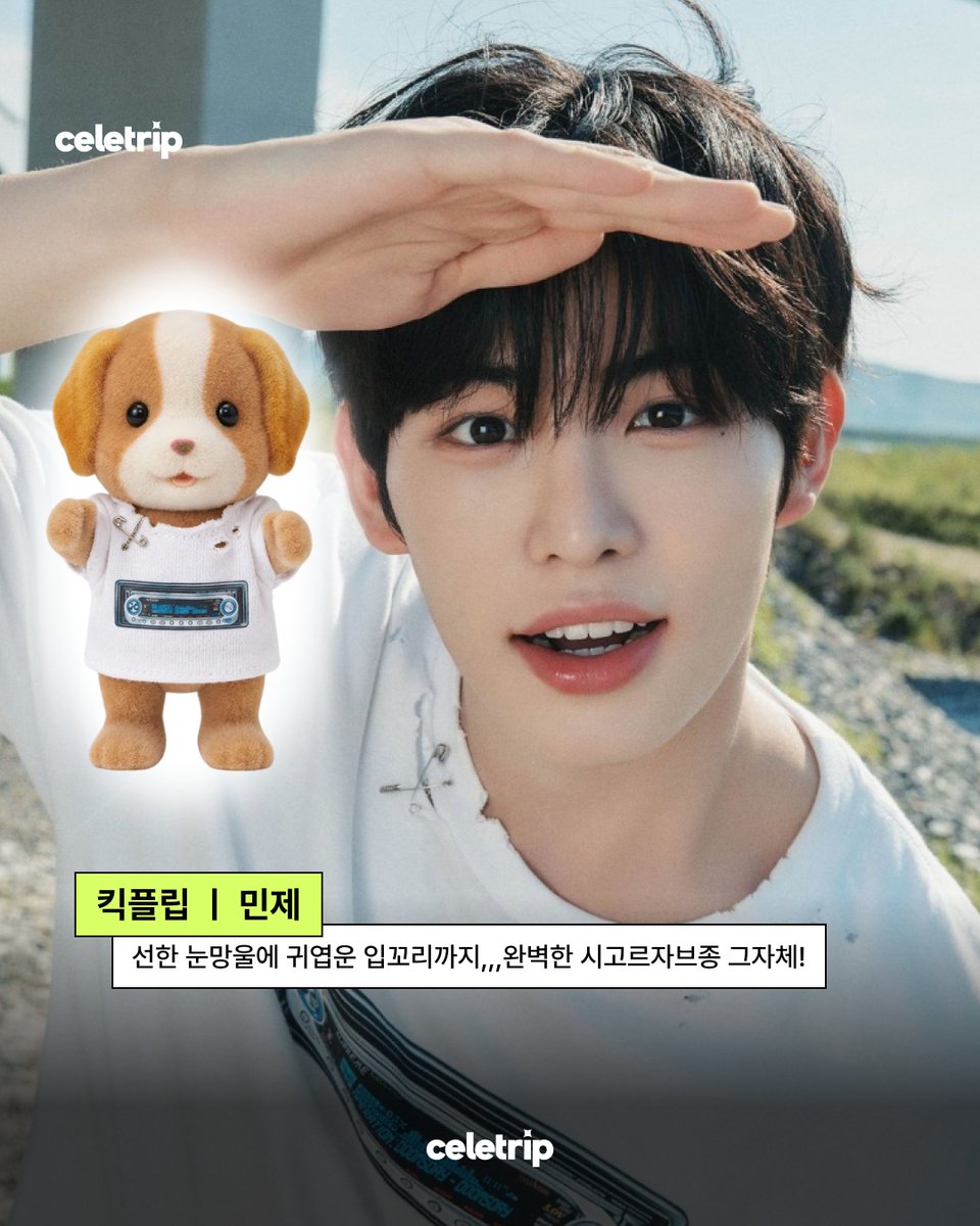 Celetrip 셀레트립 tweet media