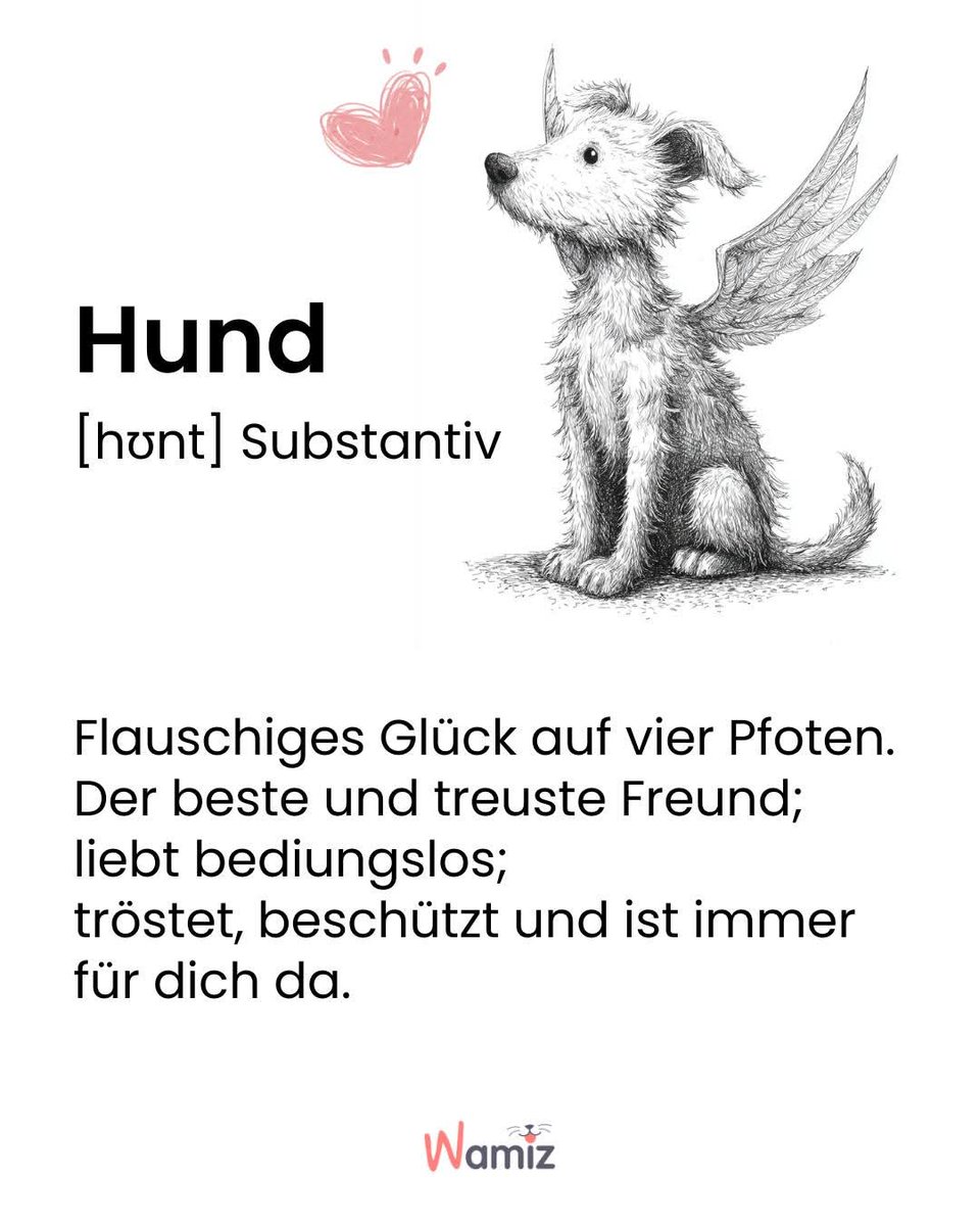 Ronjawoodybirgit 🐕🦮👩‍🦳 tweet media