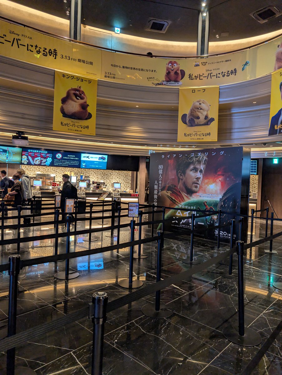 すぅじぃ(本人) tweet media