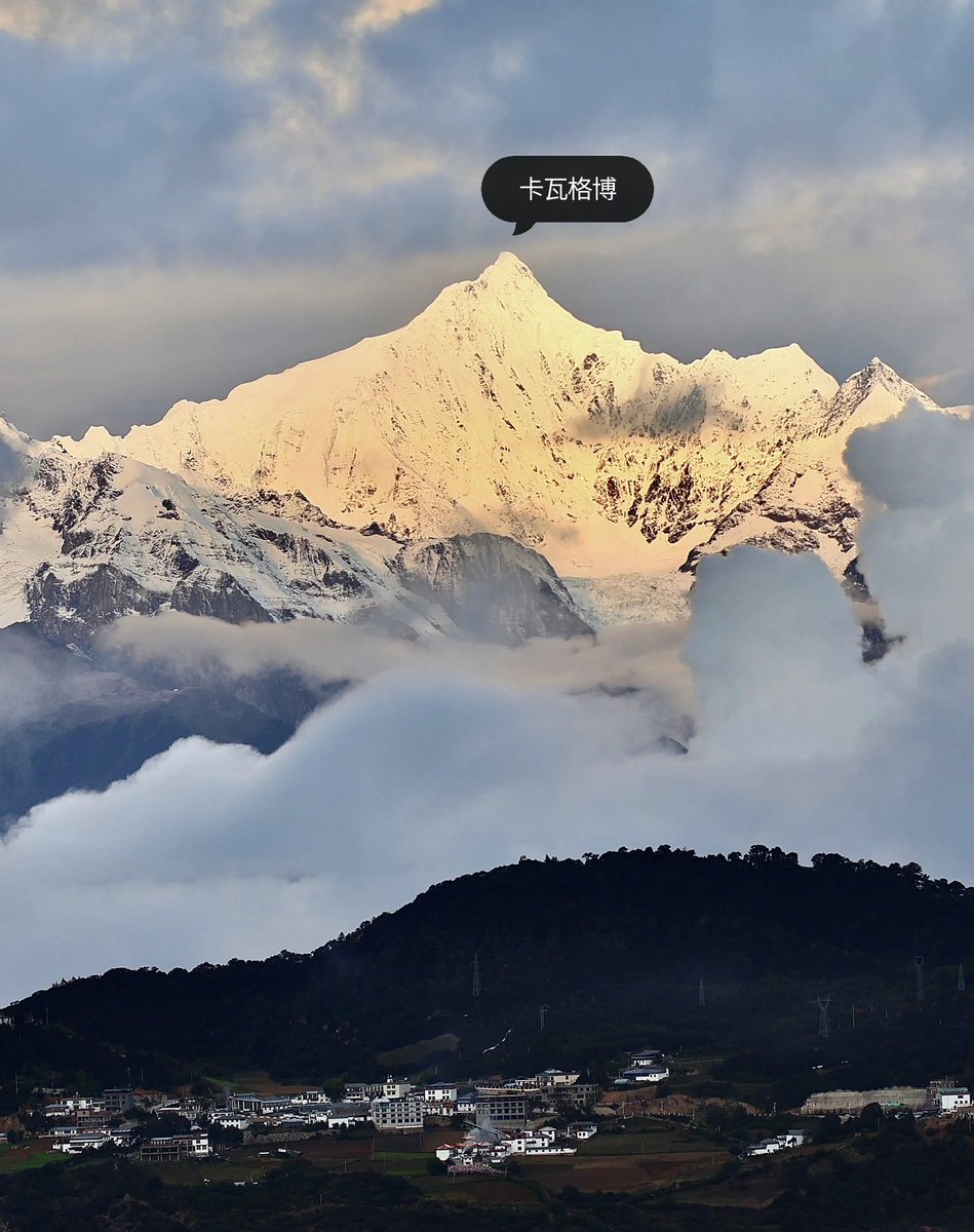 Вера Рязанцева tweet media