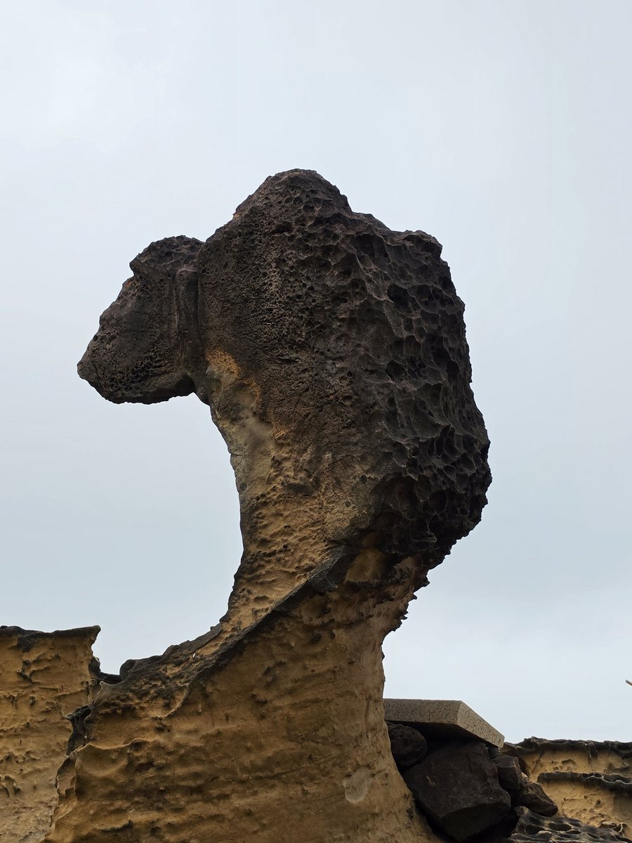 ✨️에어✨️Air tweet media