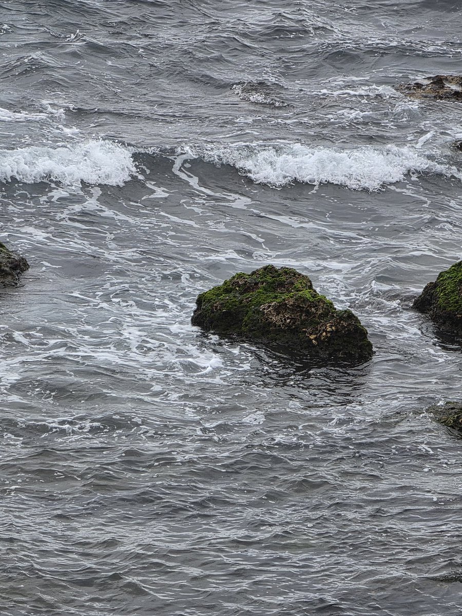 ✨️에어✨️Air tweet media