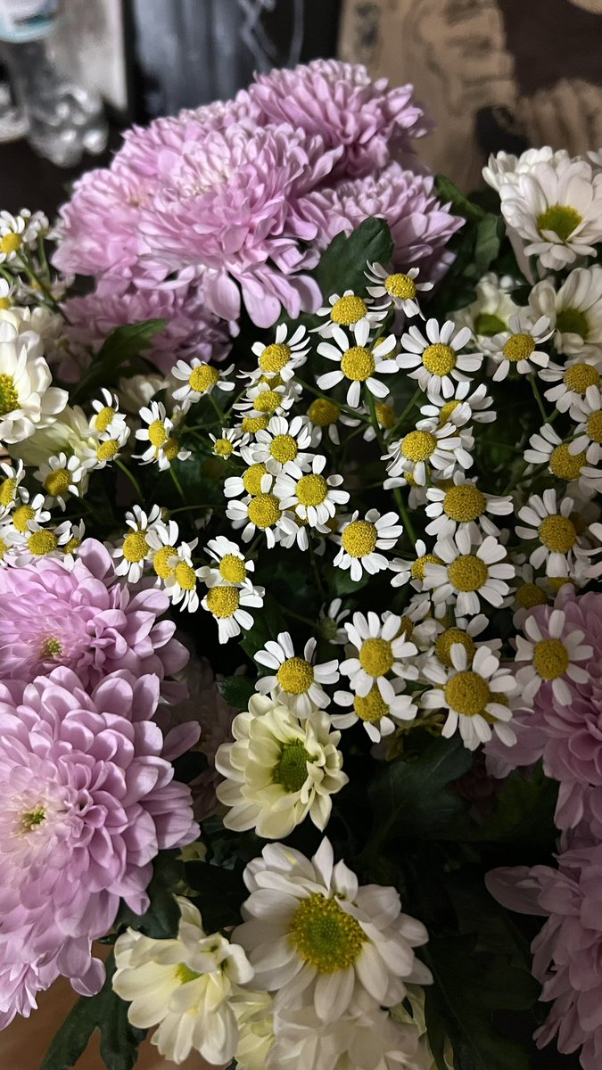 Мария Генералова tweet media