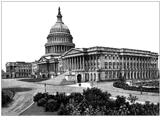 Scipio's Ghost tweet media