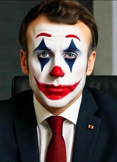 Hartileytius tweet media